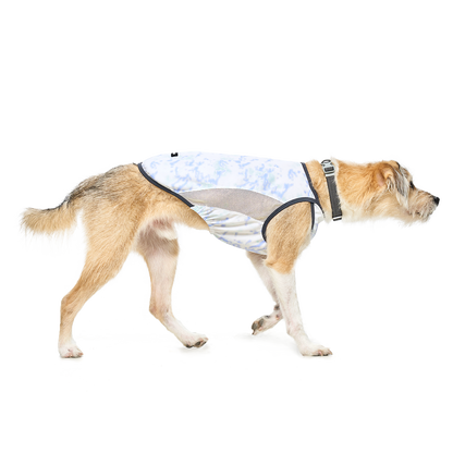Coore™ 藍色冰感防曬防蟲背心