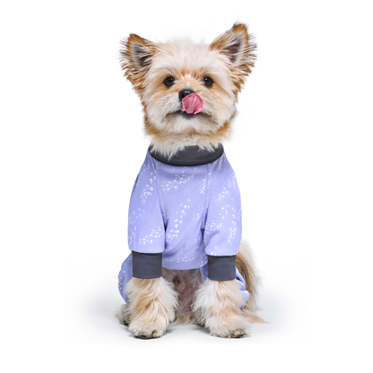 Coore™ Suit Lavender