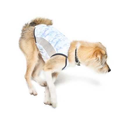 Coore™ 藍色冰感防曬防蟲背心