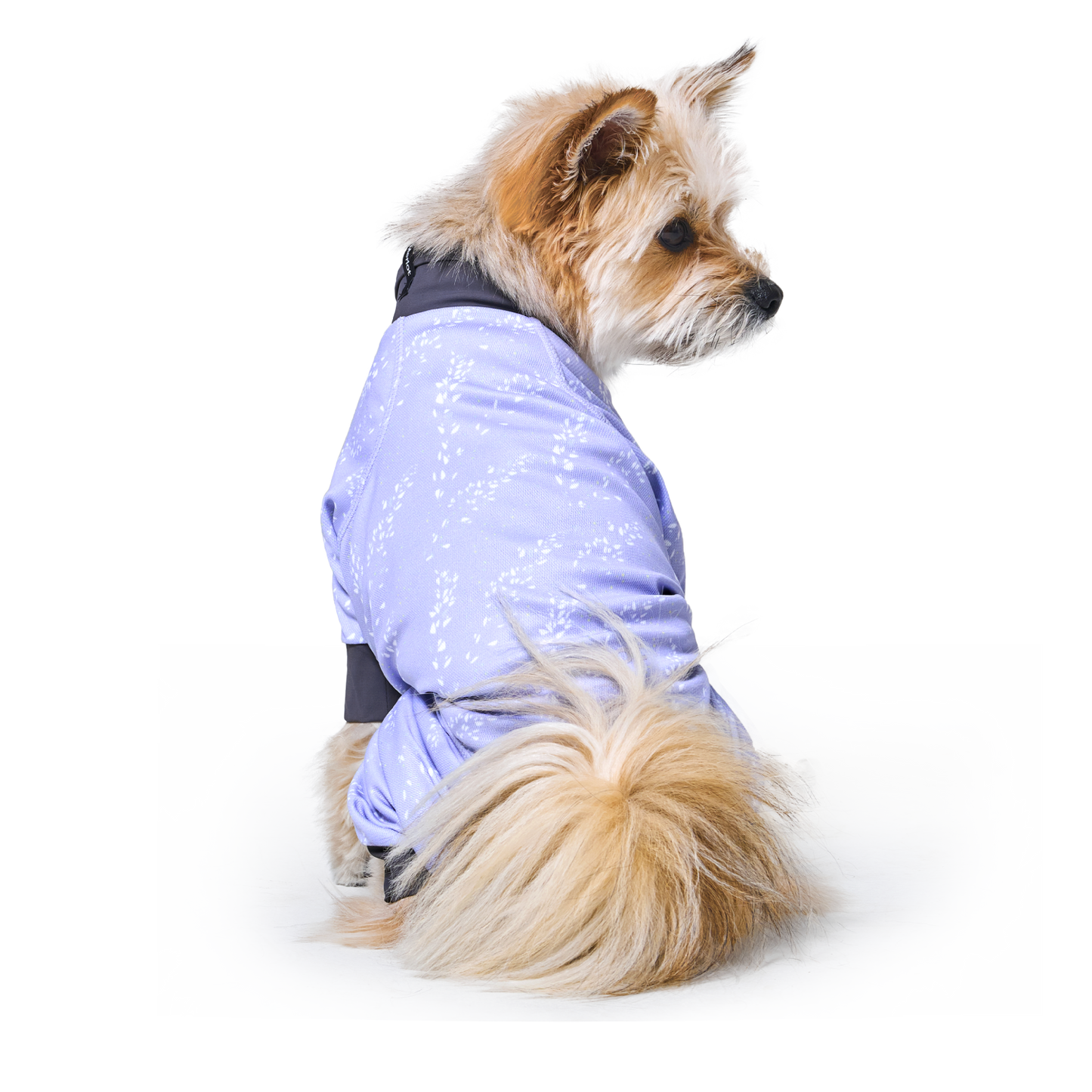 Coore™ Suit Lavender