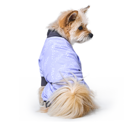 Coore™ Suit Lavender