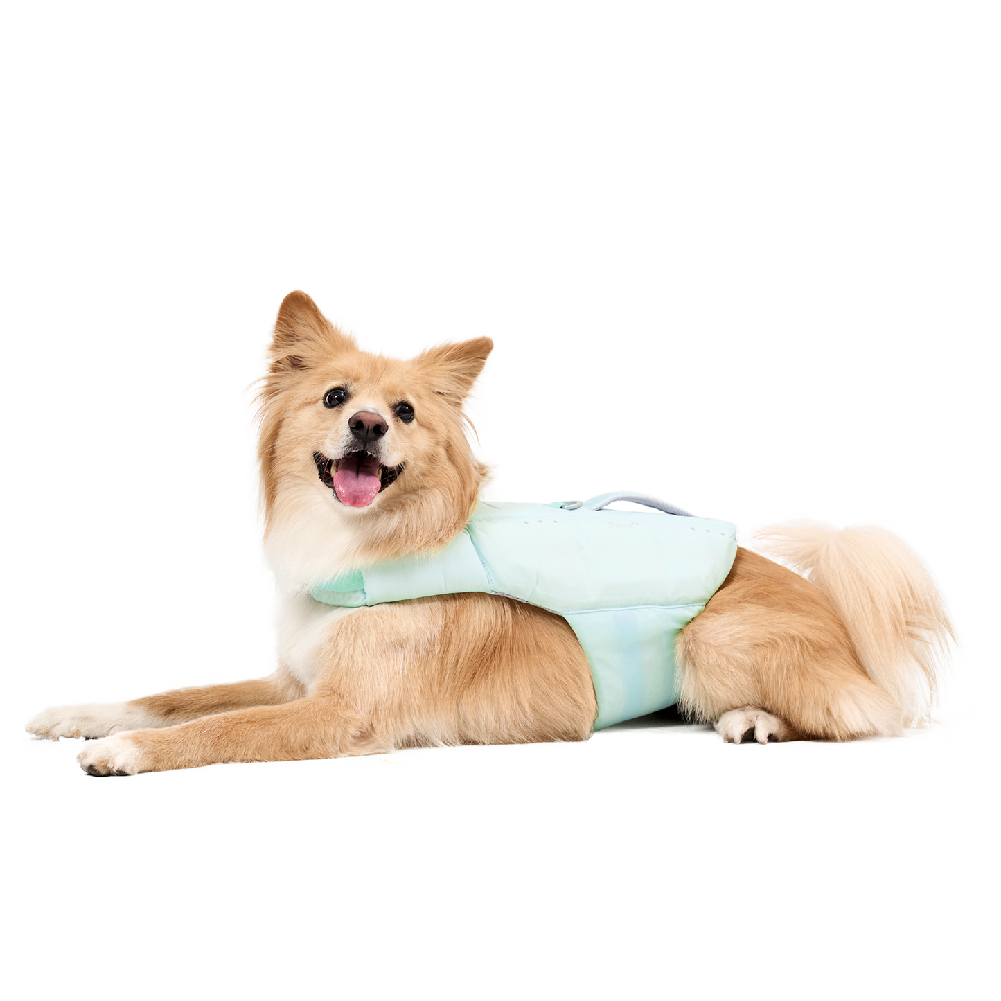 Parae™ 薄荷綠色救生衣