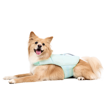 Parae™ 薄荷綠色救生衣