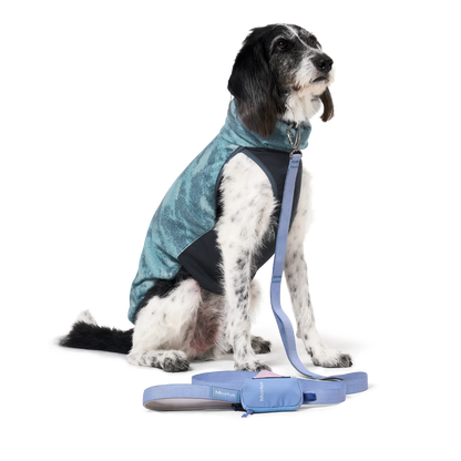 Shelter™ 深藍色雙層外套