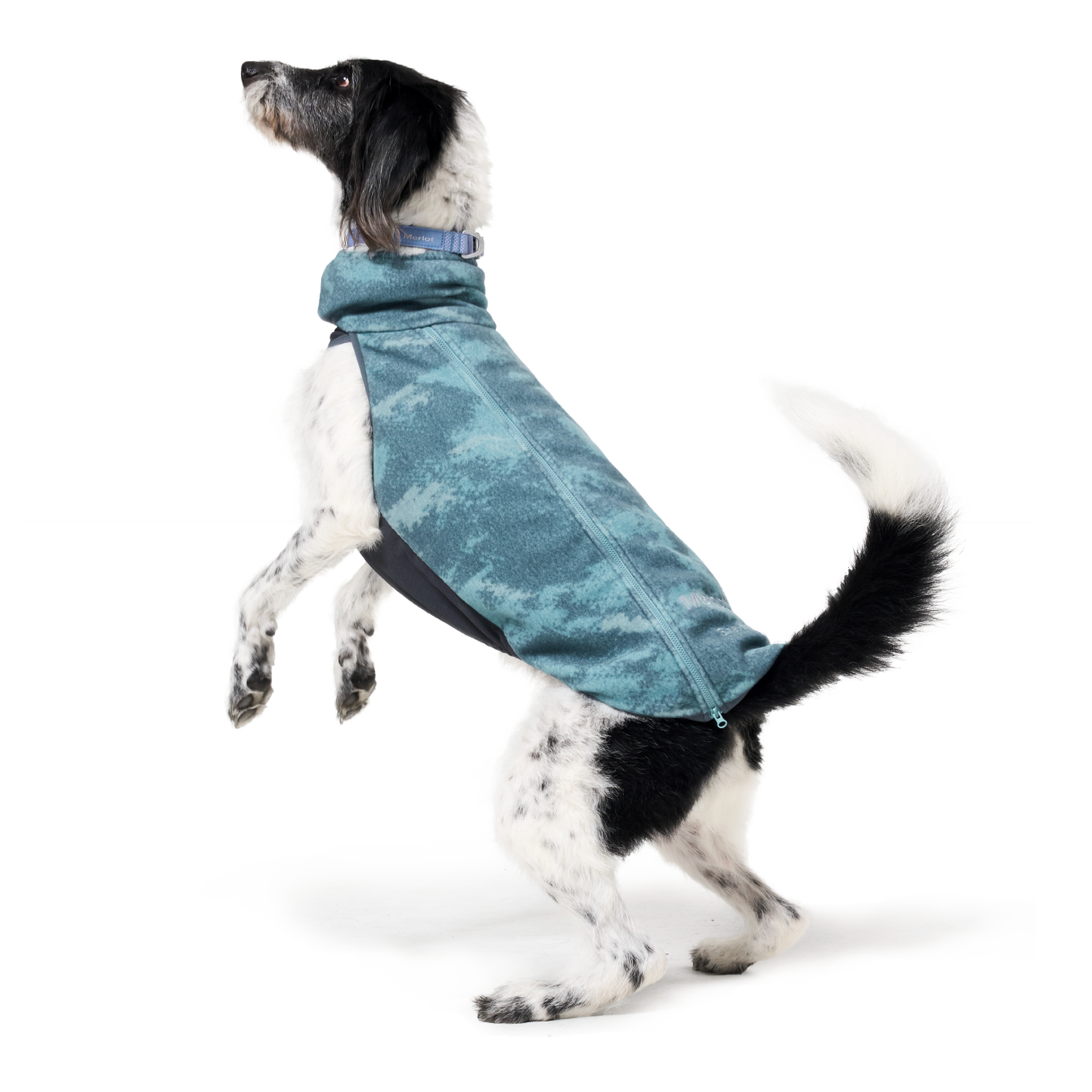 Shelter™ 深藍色雙層外套