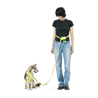 Ardor™ 寶藍色多功能免提牽引繩