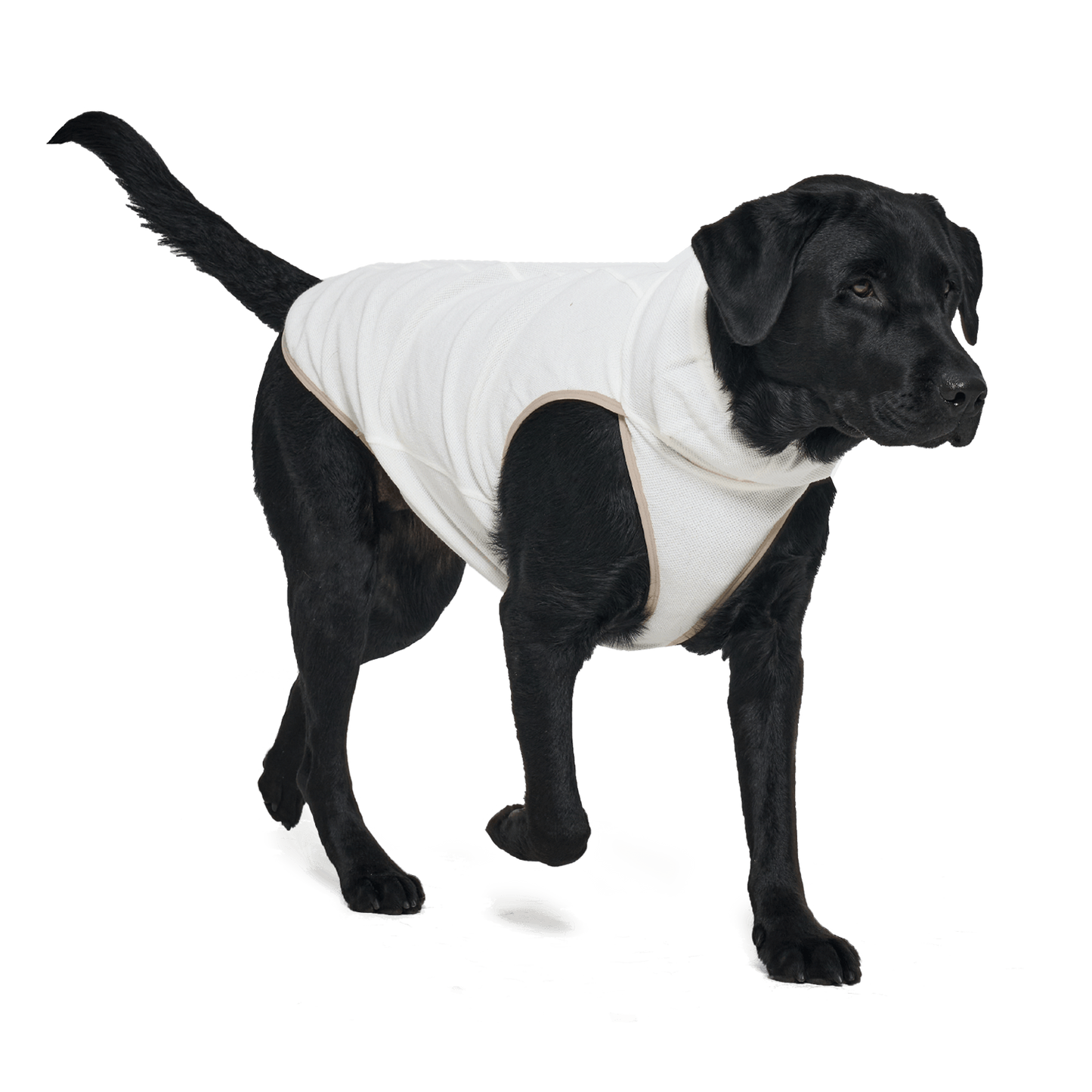 Shelter™ 米白輕柔日常衣