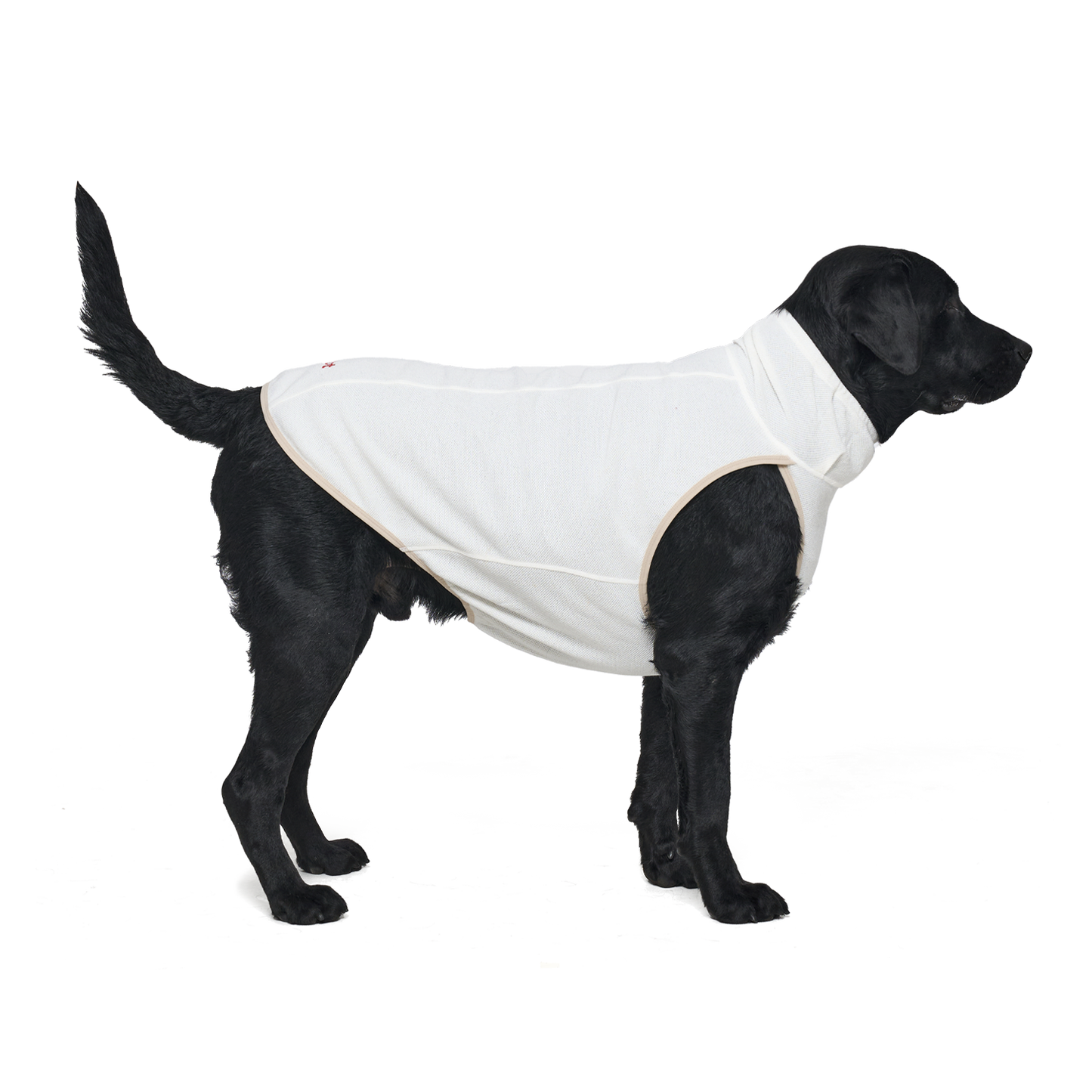 Shelter™ 米白輕柔日常衣