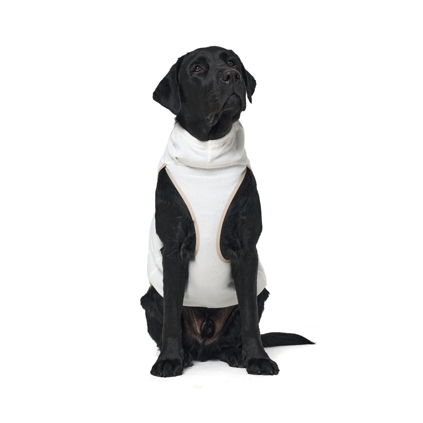 Shelter™ 米白輕柔日常衣