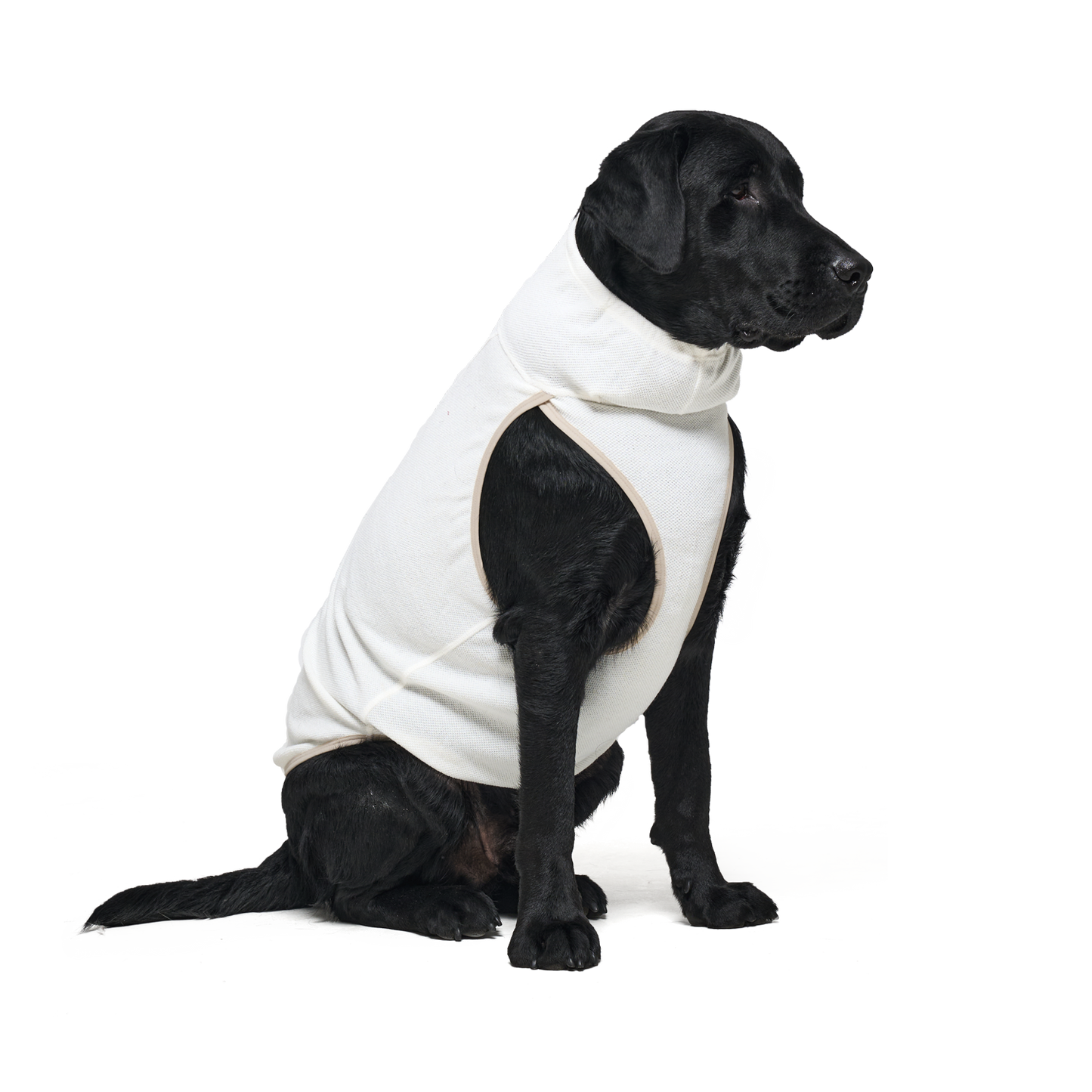 Shelter™ 米白輕柔日常衣