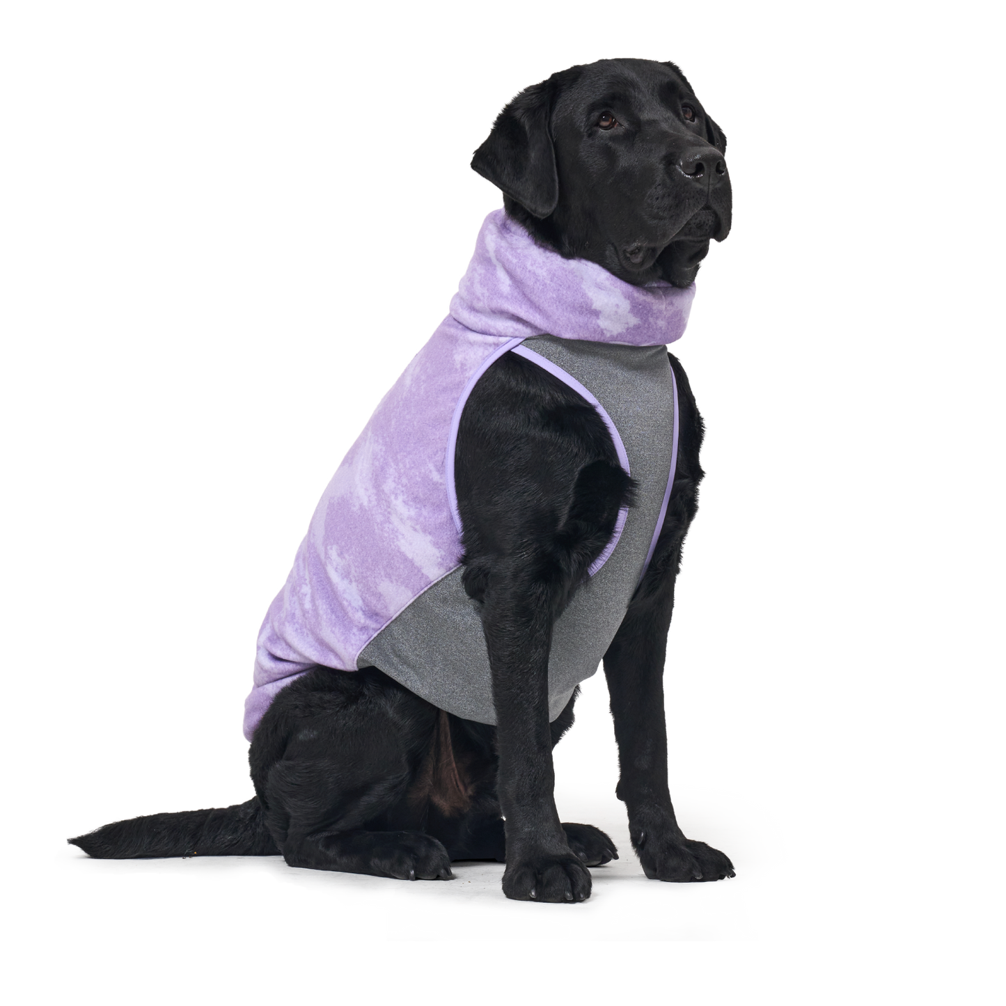 Shelter™ 紫色雙層外套