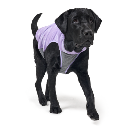 Shelter™ 紫色雙層外套