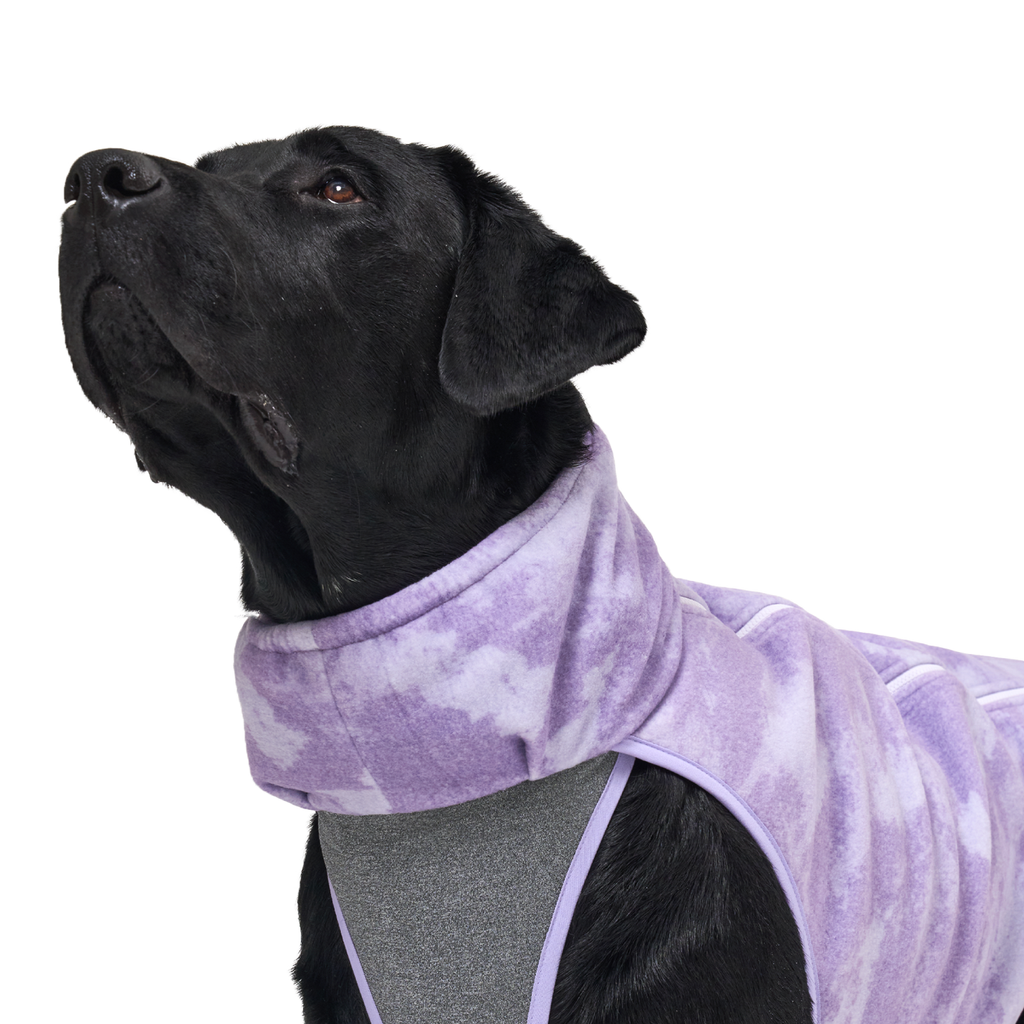 Shelter™ 紫色雙層外套