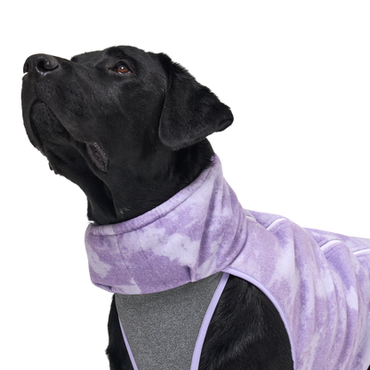 Shelter™ 紫色雙層外套