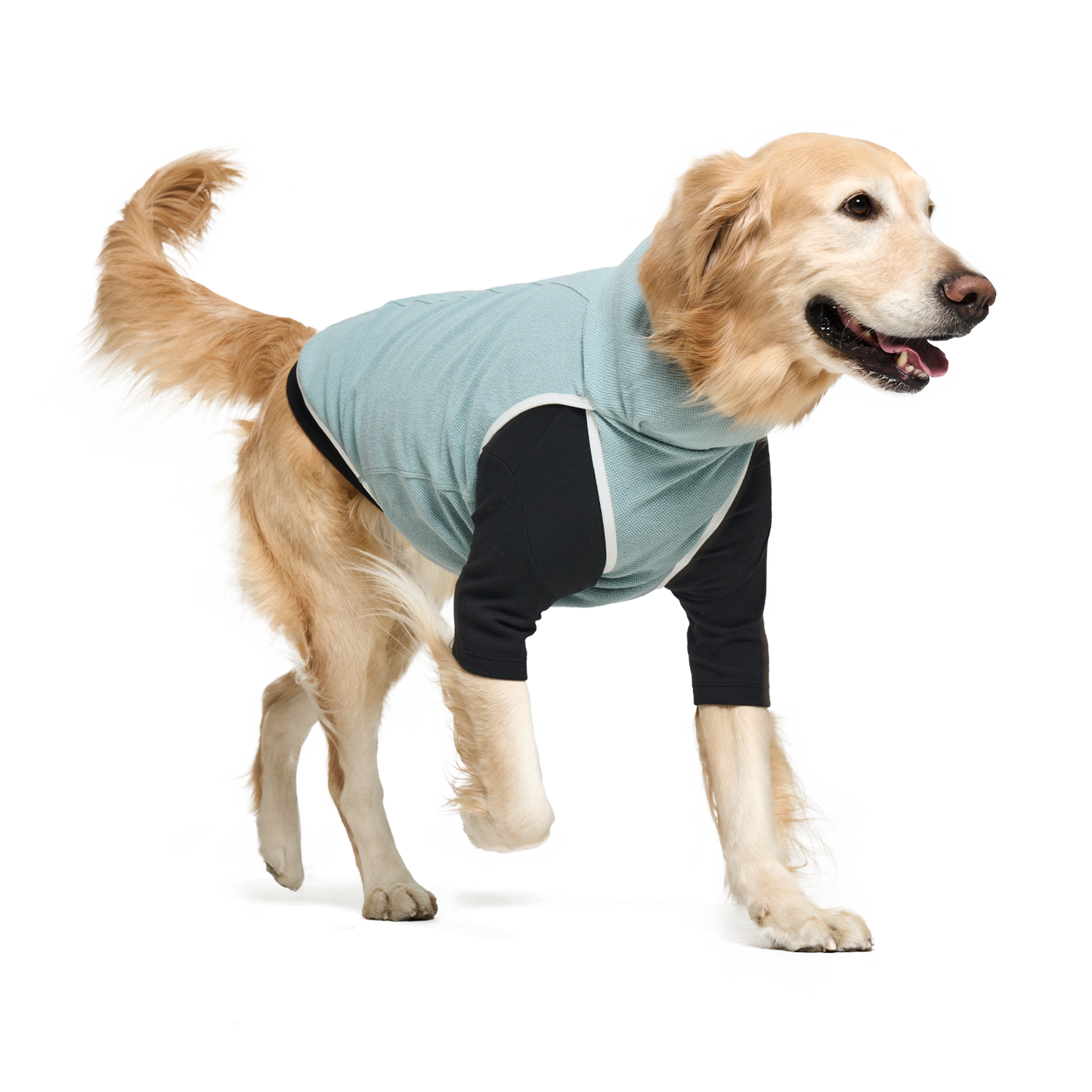 Shelter™ 薄荷綠輕柔日常衣